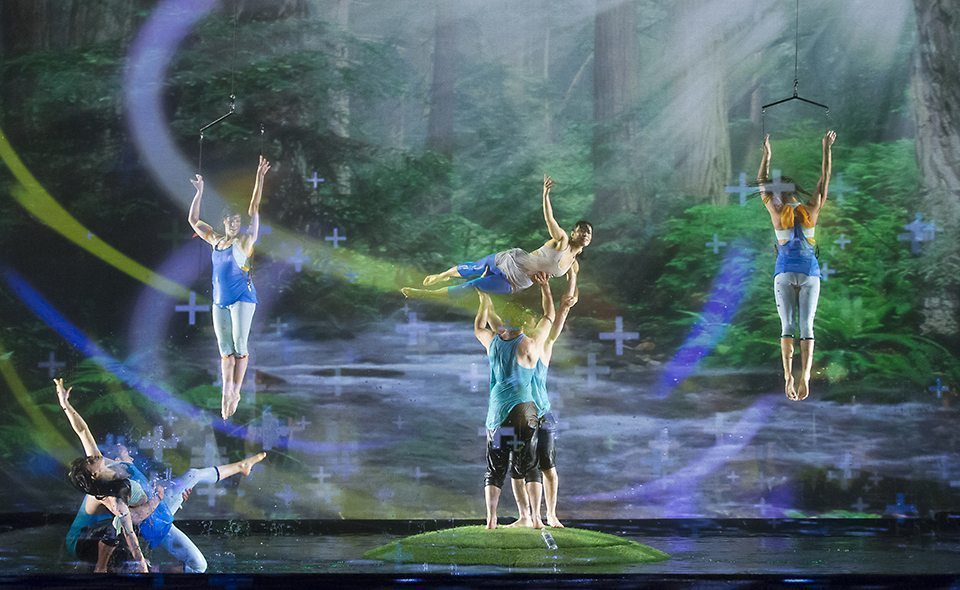 ElectroBatique Particles